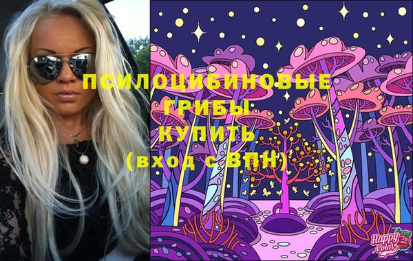 скорость Каменногорск