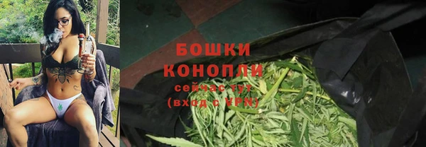 прущие грибы Иннополис