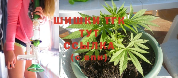 первитин Каменка