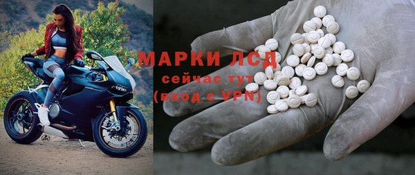 прущие грибы Иннополис