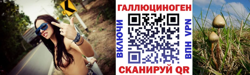 Галлюциногенные грибы Psilocybine cubensis  Каспийск 