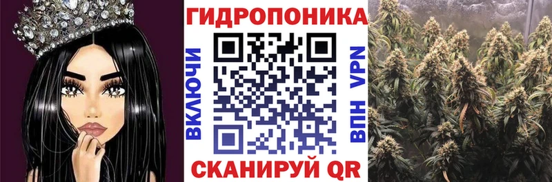 Бошки Шишки AK-47  блэк спрут ТОР  Каспийск 